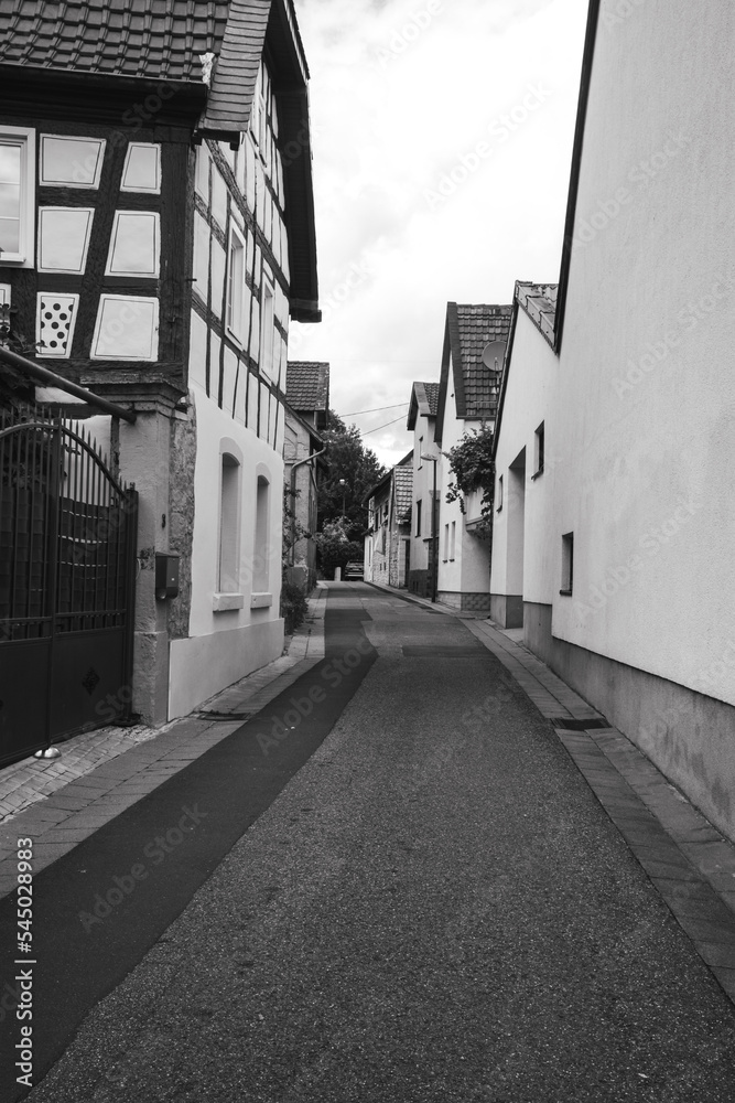 Heidelberg street in the old town
