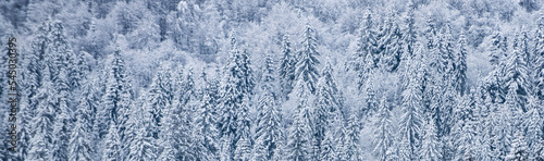 Winter nature banner. Winter nature for design. Winter Christmas landscape background with snow. New Year wallpaper.