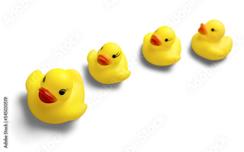 Rubber Ducks Family photo