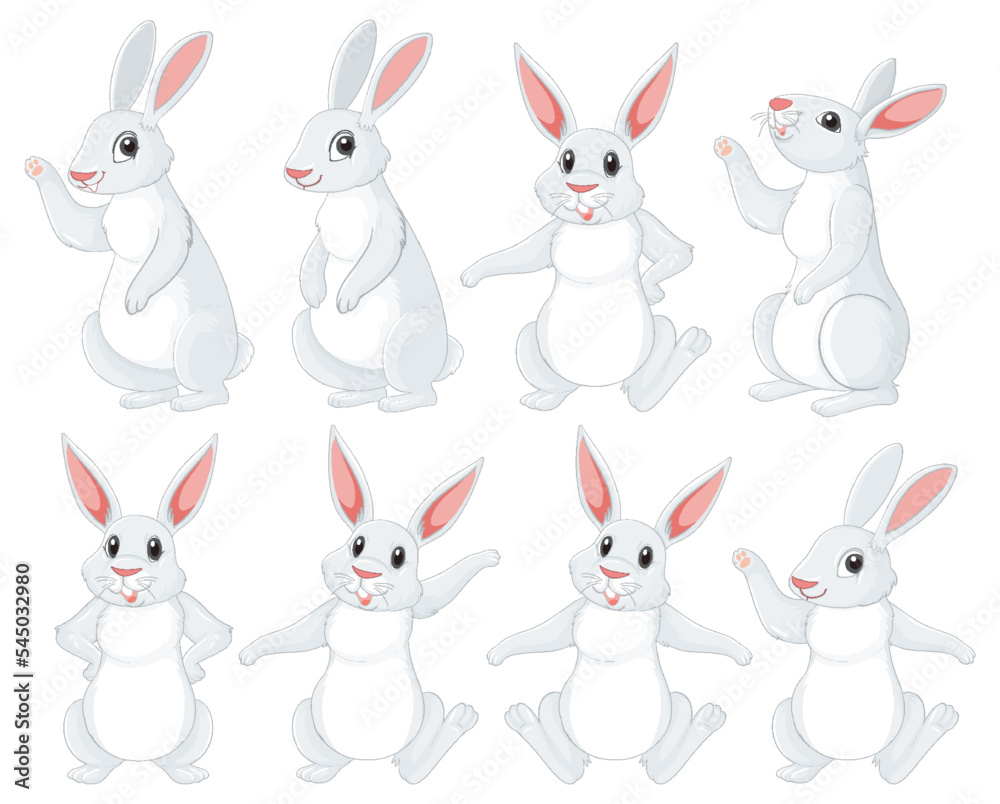 White rabbits in different poses set