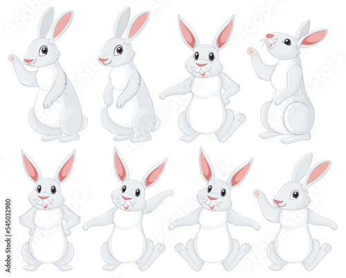 White rabbits in different poses set