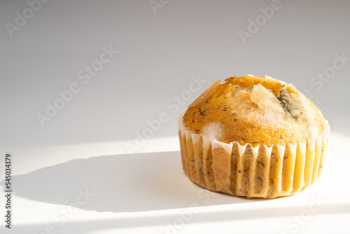 The cupcakes is spoiled and moldy. Waste food concept