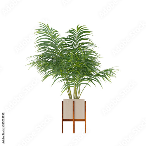 Plant, Plant PNG, Download Plant Transparent Background