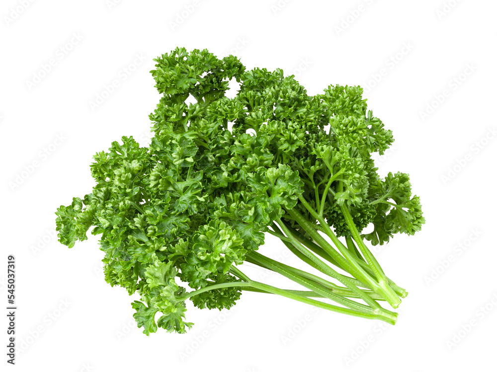 Parsley isolated on transparent png Parsley isolated on transparent png