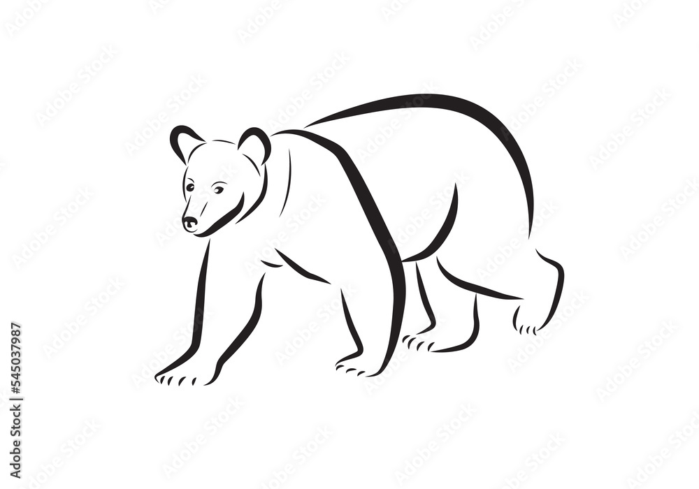 Bear vector isolated on white. Grizzly bear, Wild animal icon.