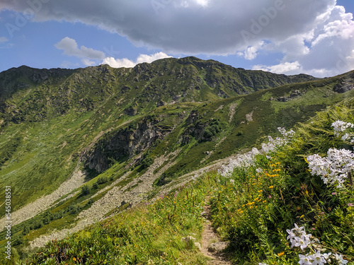 Beautiful view of the landscape of the Caucasus Mountains against the background of the sky with clouds. The path through the meadow flowers goes to the top. Nature concept. Arkhyz, Caucasus, Russia