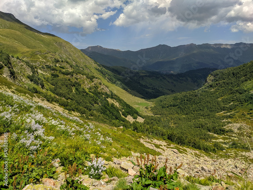 Beautiful view of the landscape of the Caucasus Mountains against the background of the sky with clouds. Landscape of mountain green hills. Meadow flowers. Nature concept. Arkhyz, Russia