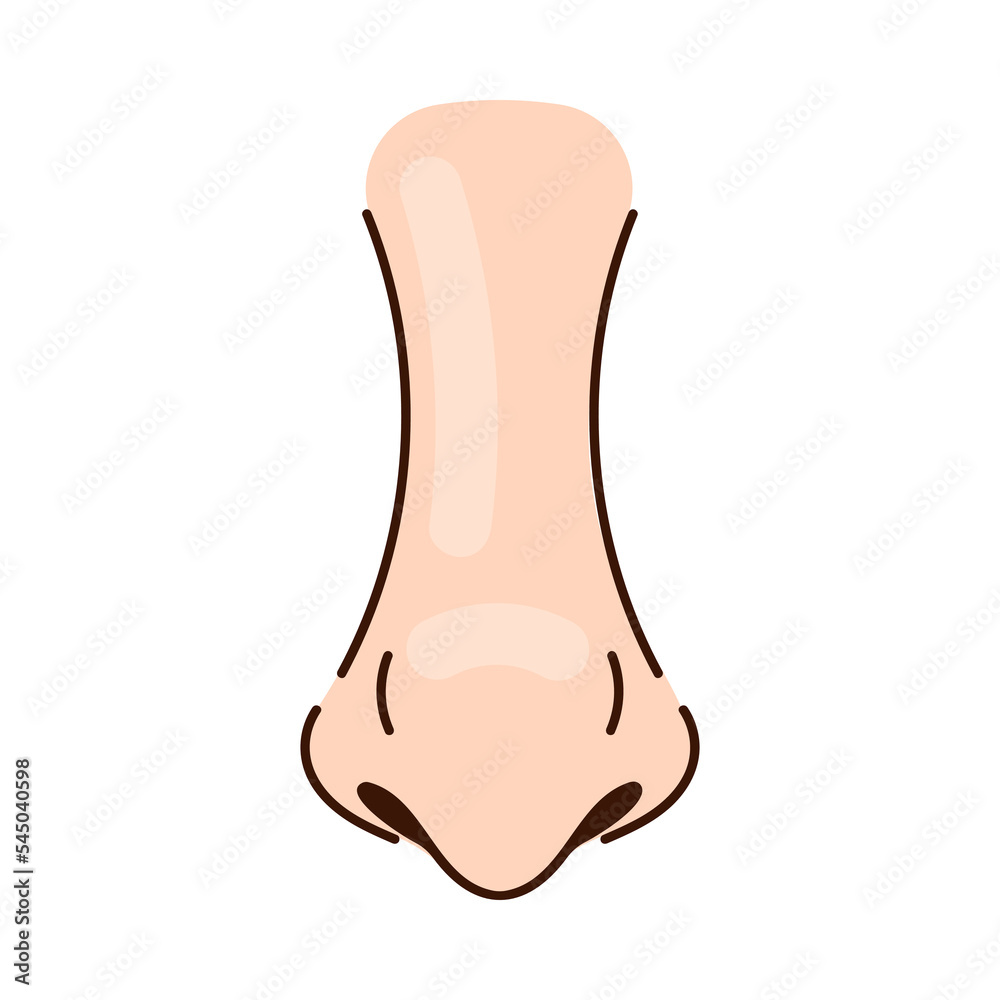 Pointy nose of person with thin nostrils cartoon illustration. Nose of