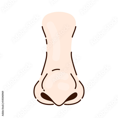 Thin nose of Caucasian person with big tip cartoon illustration. Nose of white person with round tip, part of human face on white background. Rhinoplasty, anatomy, surgery, breathing, medicine concept