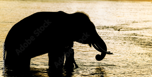 Photo An elephant and a breeder stand in the river.