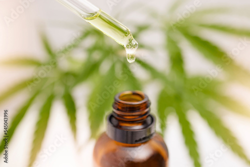 Fototapeta Naklejka Na Ścianę i Meble -  Dropper, glass bottle and cbd oil for holistic healthcare, pain management or stress control in anxiety, depression or ptsd relief. Zoom, cannabis leaf or marijuana medicine product from weed extract