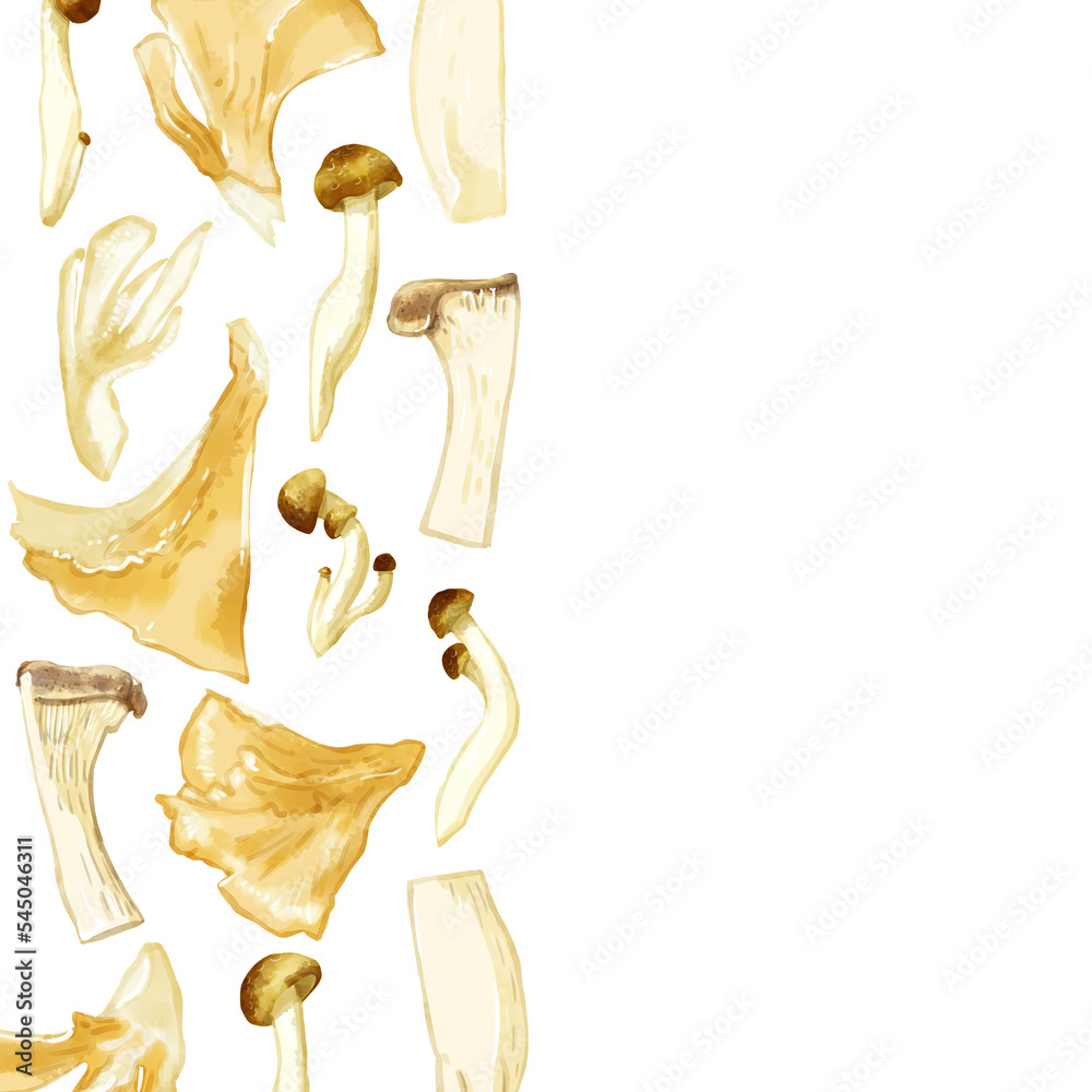 Obraz premium 手描き水彩の三種のキノコイラスト正方形フレーム・左