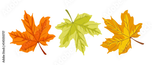 Autumn maple leaves set. Vector illustrations of yellow, orange and green leaf from tree branch. Cartoon foliage flying in fall autumn air of forest or garden isolated on white. Nature, season concept