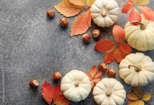 Autumn leaves and pumpkins over grey concrete background