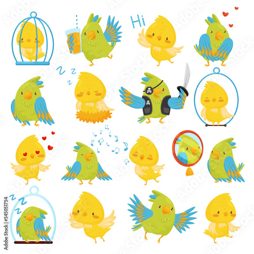 Canary and parrot birds set. Cute pet birds in everyday activities set cartoon vecto