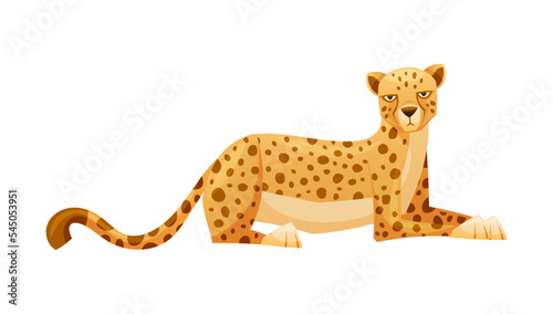 Lying Cheetah as African Large Cat with Long Tail and Black Spots on Coat Vector Illustration