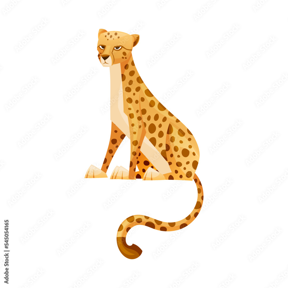 Fototapeta premium Sitting Cheetah as African Large Cat with Long Tail and Black Spots on Coat Vector Illustration