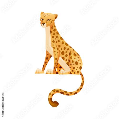 Sitting Cheetah as African Large Cat with Long Tail and Black Spots on Coat Vector Illustration