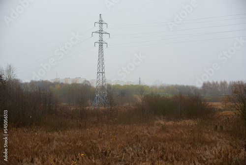 telecommunication tower in the forest