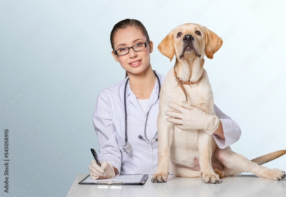 Young veterinarian doctor holding cute puppy on background