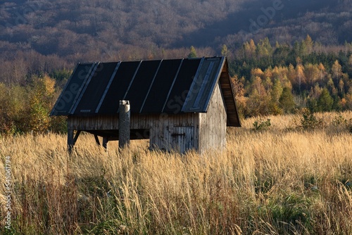 Forest hayloft. Hostyn hills. Czechia.