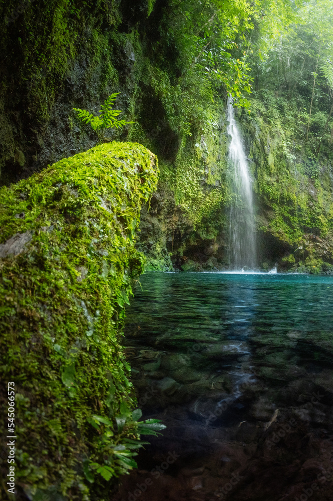 Naklejka premium Scenic Waterfall Landscape in deep forest