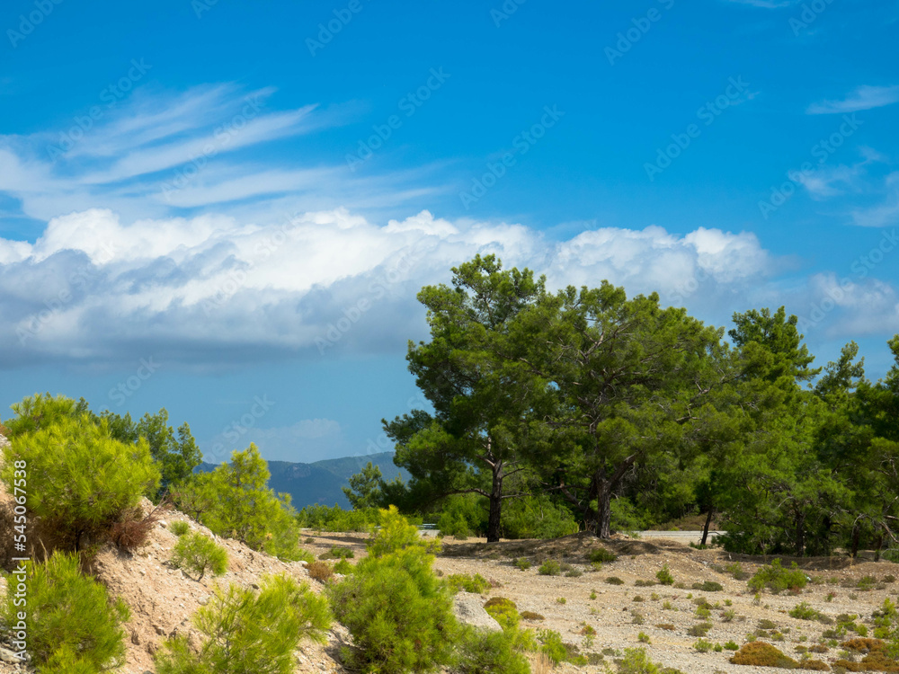 Panoramic view of typical greek mediterranean landscape with hill, fir trees and bushes. Tourism and vacations concept. Rhodos Island, Greece. Panoramic view of typical greek mediterranean landscape with hill, fir trees and bushes. Tourism and vacations concept. Rhodos Island, Greece.