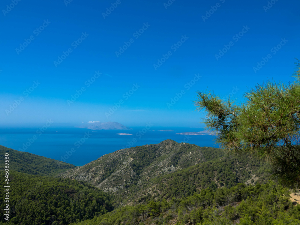 Panoramic view of typical greek mediterranean landscape with hill, fir trees and bushes. Tourism and vacations concept. Rhodos Island, Greece.