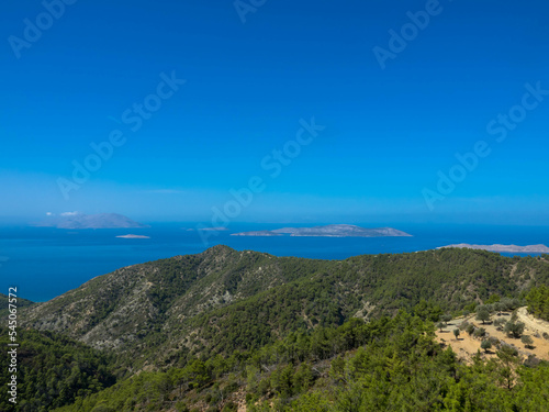 Panoramic view of typical greek mediterranean landscape with hill  fir trees and bushes. Tourism and vacations concept. Rhodos Island  Greece.