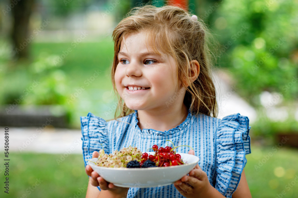 Little girl holdig Red currants, white currants and blackberries in a bowl in sunny summer garden. Healthy nutrition for kids. Bio fruit for children. Little girl holdig Red currants, white currants and blackberries in a bowl in sunny summer garden. Healthy nutrition for kids. Bio fruit for children.