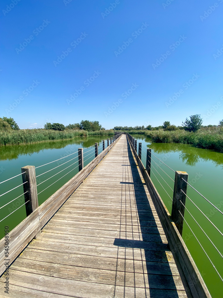 Réserve naturelle de l'étang du Méjean à Lattes, Occitanie