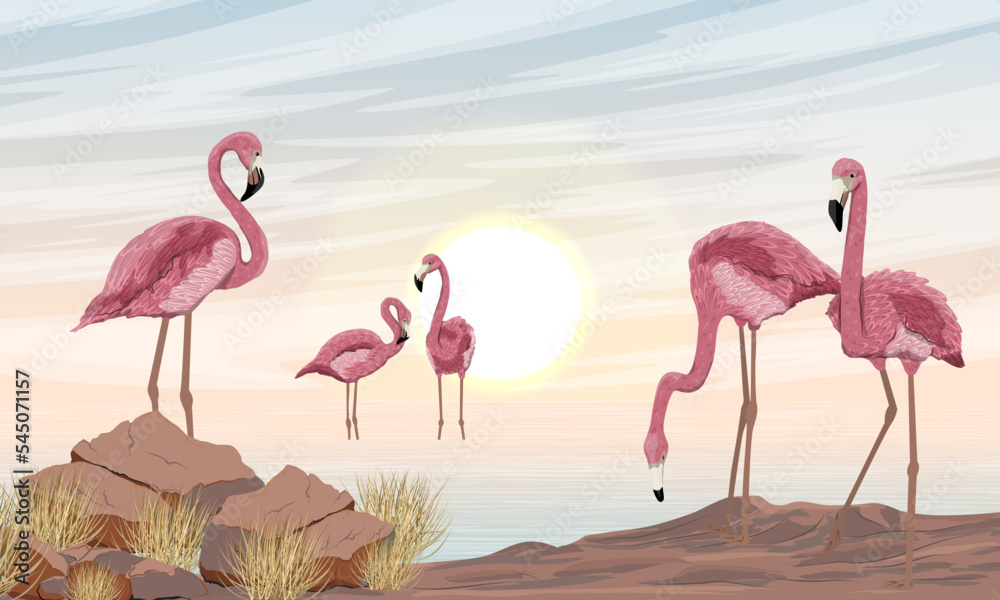 Obraz premium A flock of red flamingos on the seashore. Phoenicopterus ruber or Caribbean flamingo. Wild birds of South America, Galapagos and Caribbean islands. Realistic vector landscape