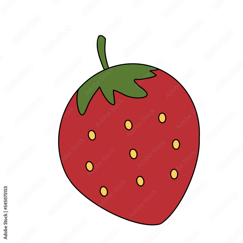 Fototapeta premium strawberry Fruit Illustation