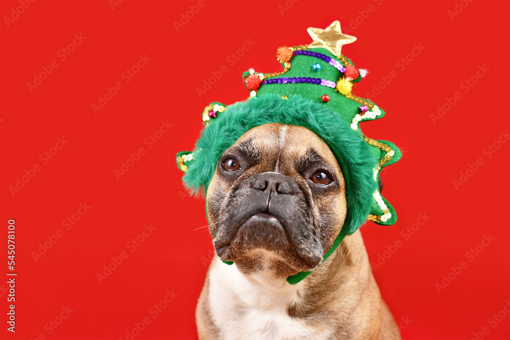 French Bulldog dog wearing funny Christmas tree headband on red background with copy space