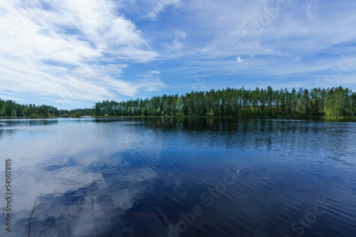 Lakeside view in a summer Sweden