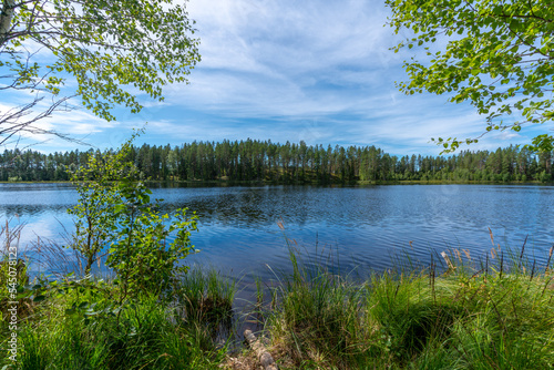 Lakeside view from Sweden with lush green trees and blue water
