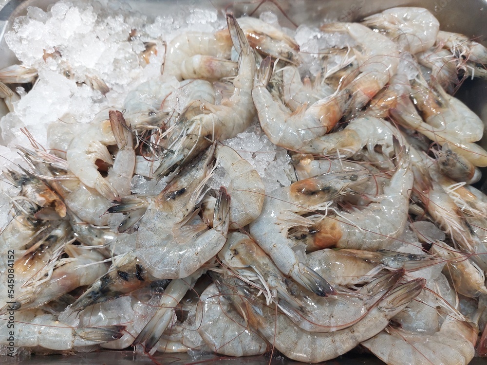 fresh shrimps or prawns on the market