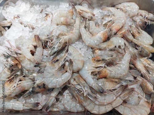 fresh shrimps or prawns on the market