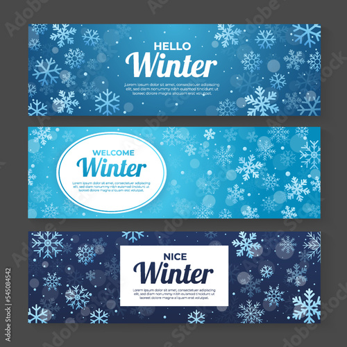 Winter Sale Banner Template