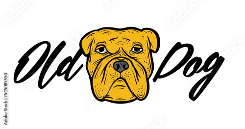 Old dog hand drawn caracter. Dog vector illustration