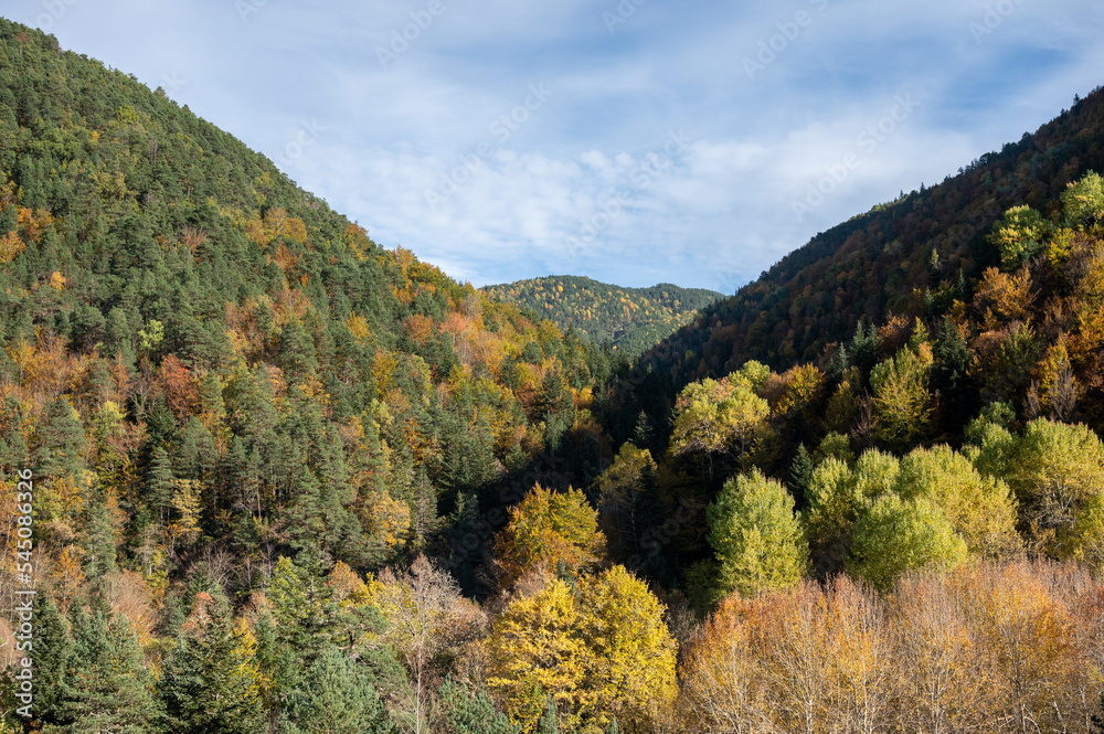 An autumnal valley with orange, yellow and green trees. An autumnal valley with orange, yellow and green trees.
