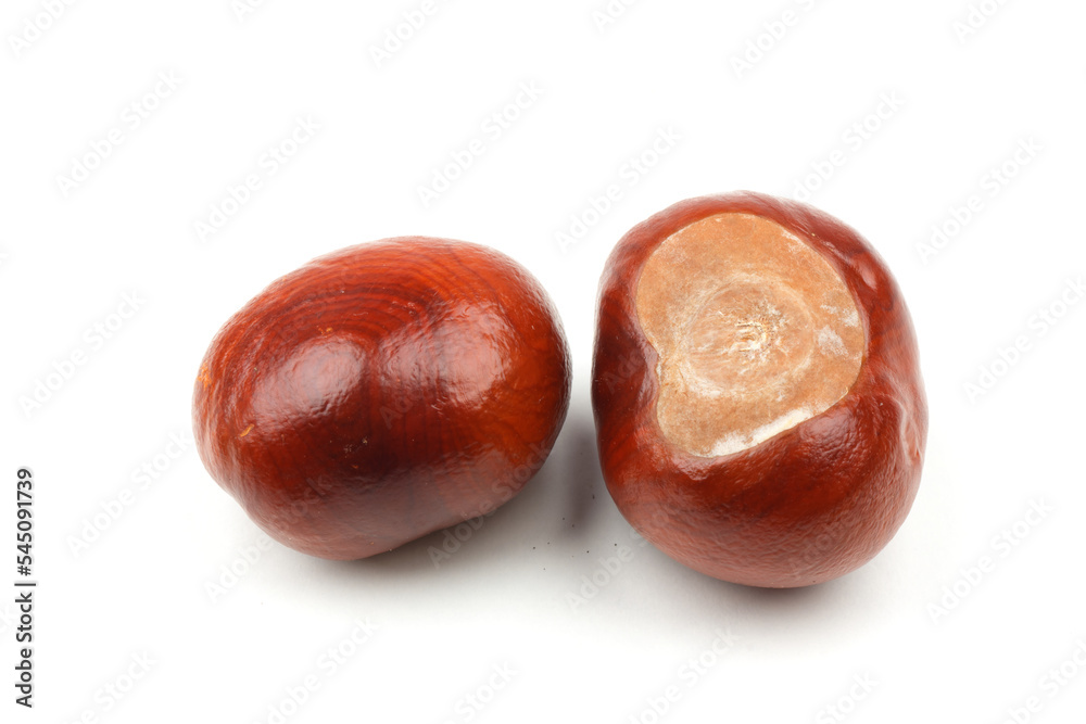 closeup of two chestnuts isolated on white background with some real shadows.
closeup of two chestnuts isolated on white background with some real shadows.