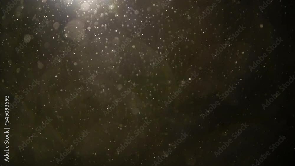 Natural snowflakes floating on black background. Glittering sparkling snow in the air.