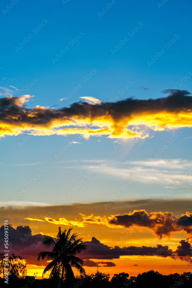 Fototapeta premium Silhouette of an urban city, tree and beautiful cloud formation at sunset