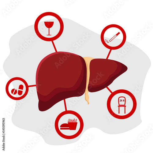 Factors affecting liver health. Vector illustration