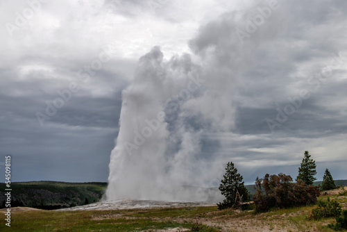 Old Faithfull geyser in Yellowstone