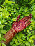 Traditional hena arts on hands
