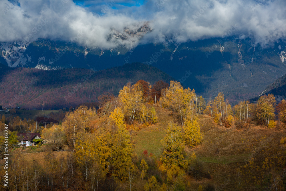 A charming mountain landscape in Carpathians, Romania. Autumn nature in Brasov, Europe A charming mountain landscape in Carpathians, Romania. Autumn nature in Brasov, Europe