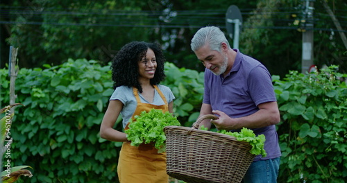 Wallpaper Mural Two diverse community farmers smelling organic lettuces outside. A black woman and a middle aged man talking about food cultivation Torontodigital.ca