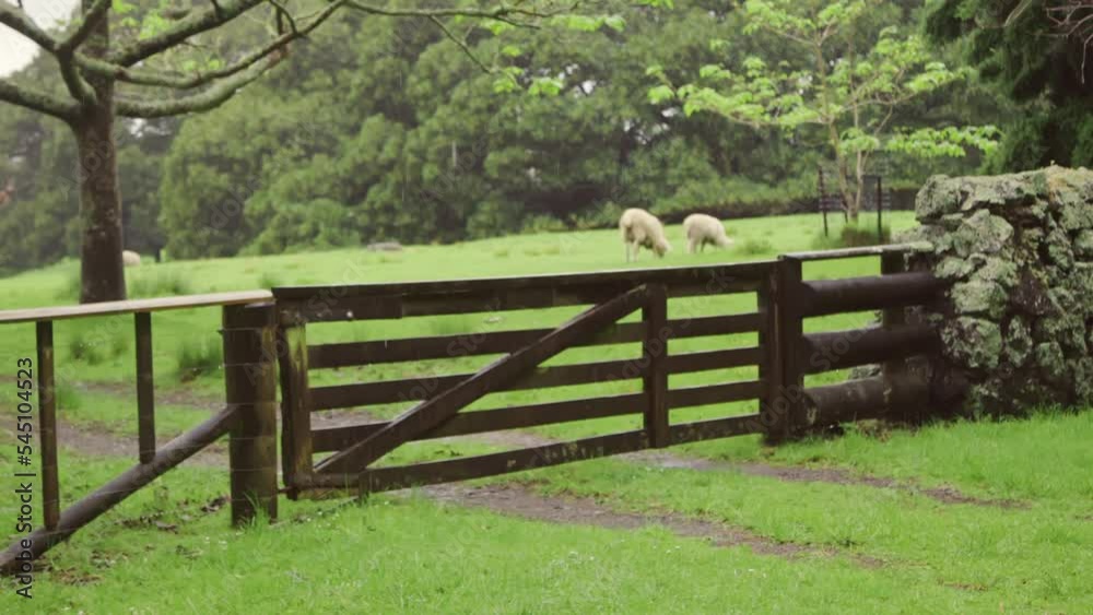 Farm gate in the countryside Farm gate in the countryside